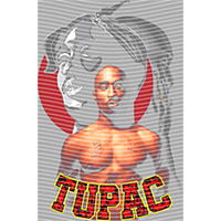 idol singer-GS  1556